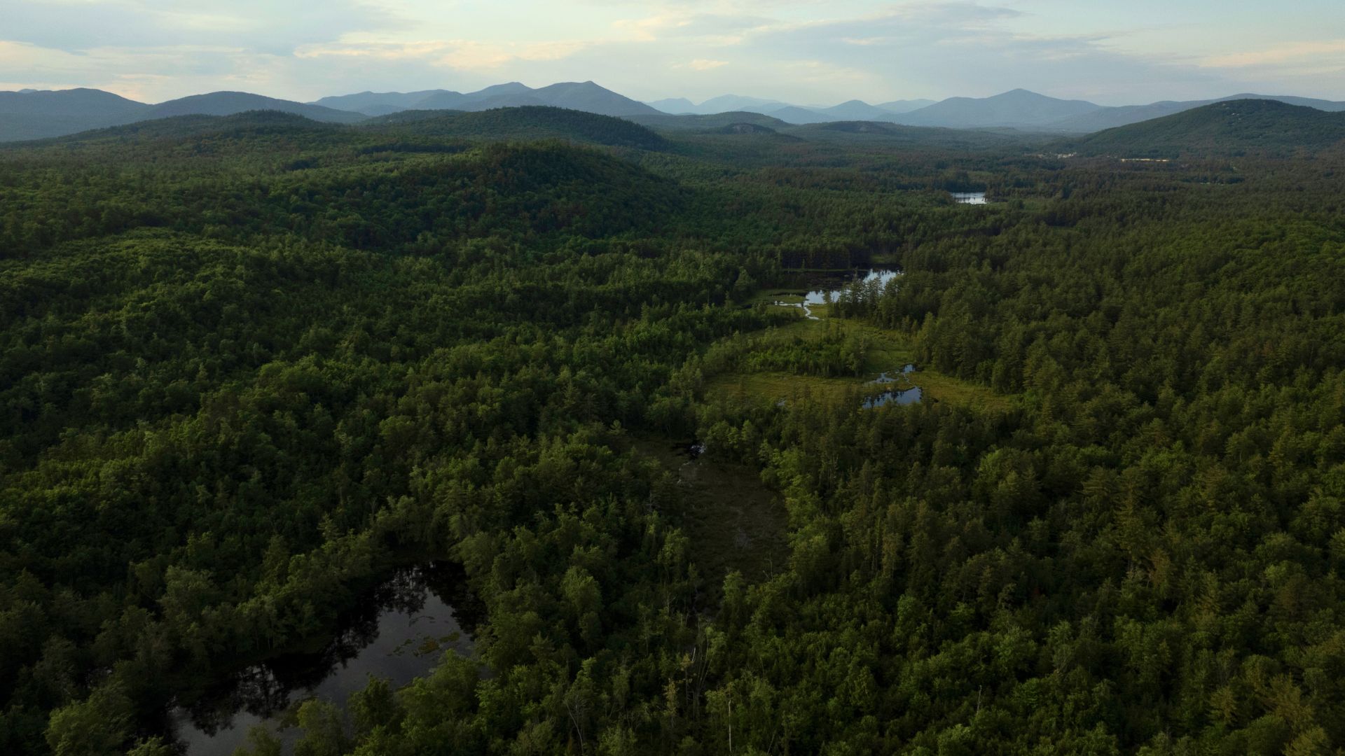 Chain of Ponds Community Forest Grant PR